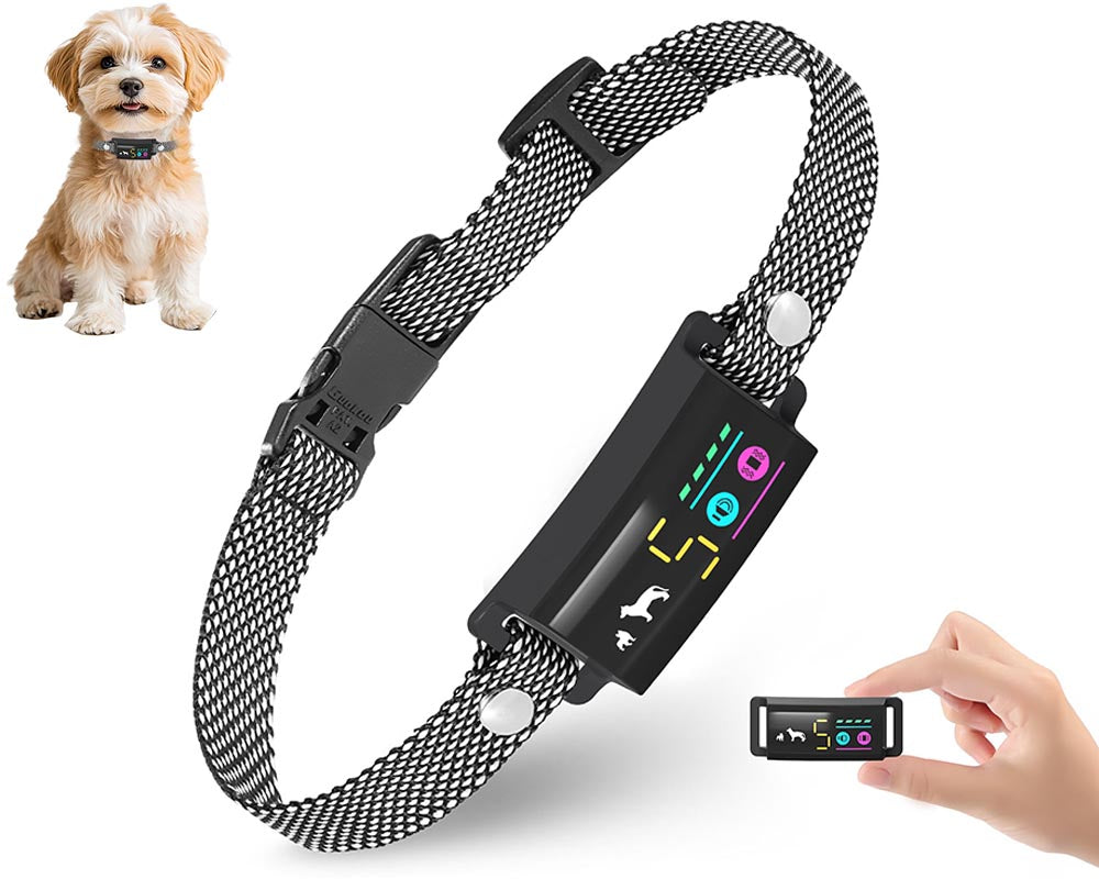 Dog collar with magnetic charger