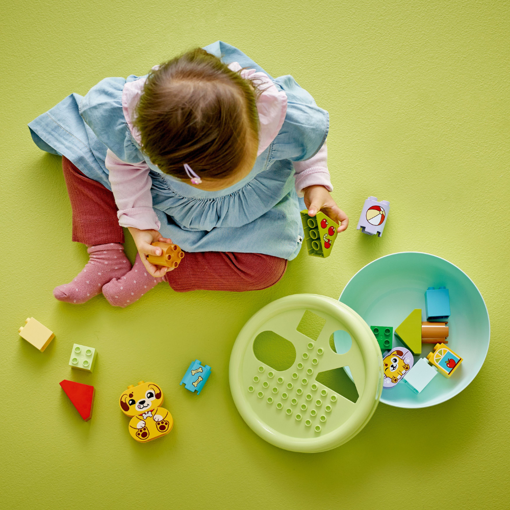 LEGO DUPLO: My First Shape Sorter: Puppy House (10441)