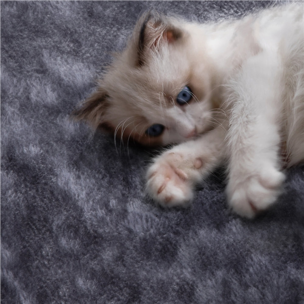 Large Cat Tree Big Cat House Plush Cat Tower