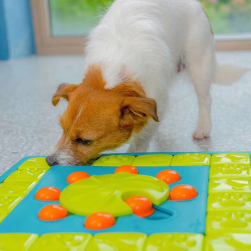 Dogs Food Puzzle Feeder Toys for IQ Training Mental Enrichment Dog Treat Puzzle