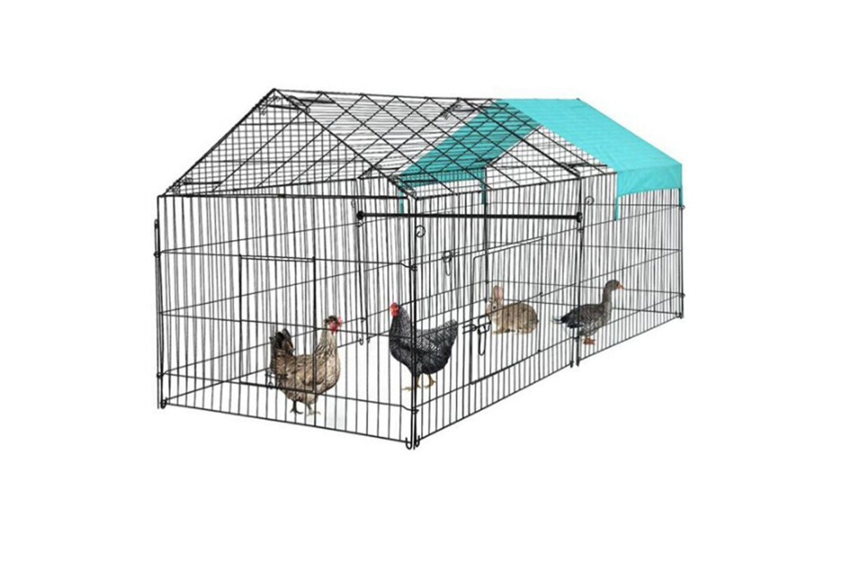 Outdoor Chicken Coop