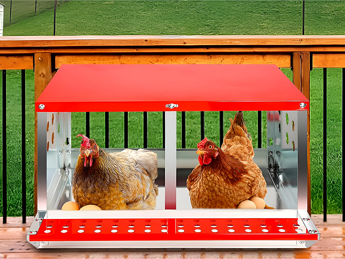 Chicken Nesting Box with 2 Nests