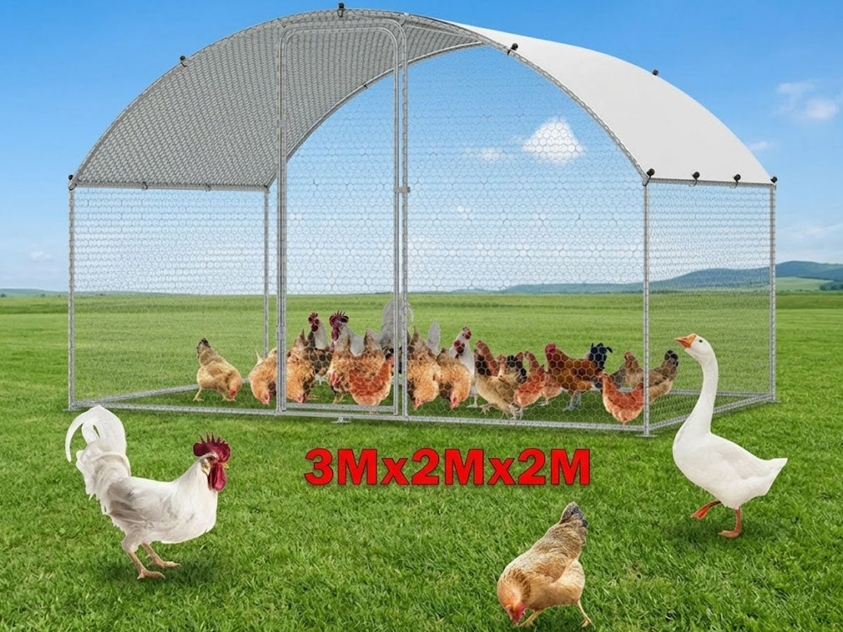 Outdoor Chicken Coop 3M x 2M x 2M