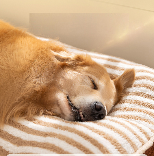 120cm Dog Bed Pet Mattress Warm Thick Washable XL