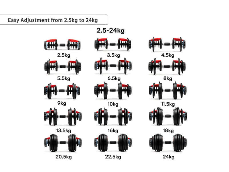 Adjustable dumbbells 24Kg Adjustable Weights Dumbbells - The Shopsite
