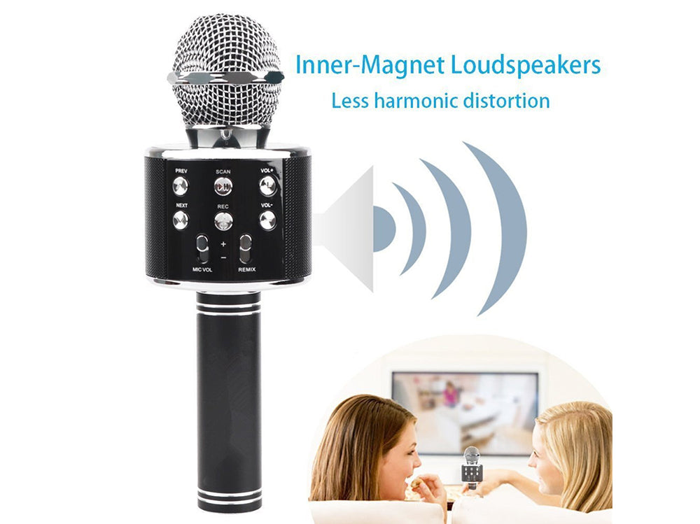 Mic with echo effect
