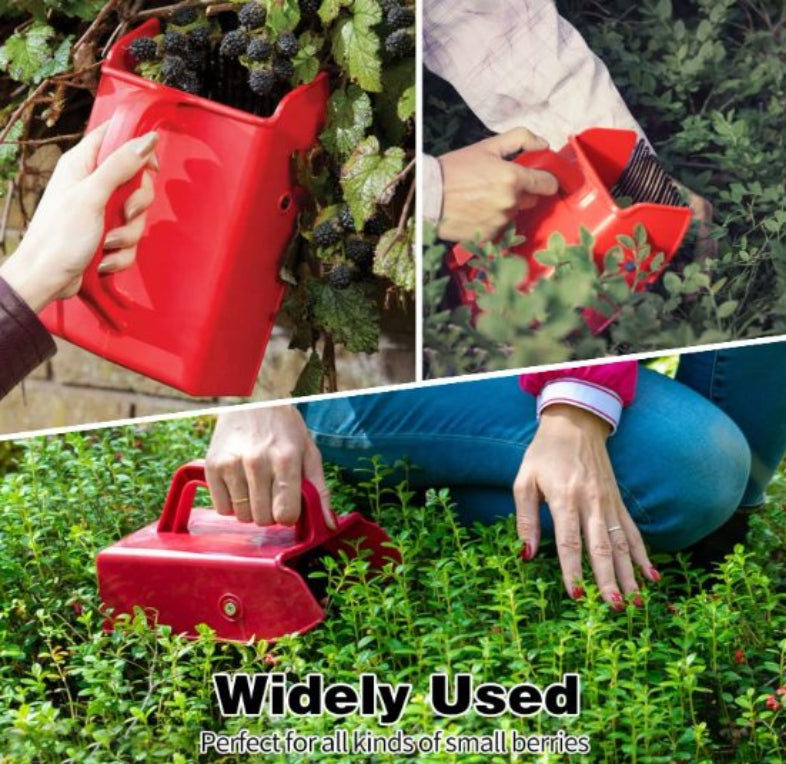 Berry Picker with Metallic Comb and Ergonomic Handle
