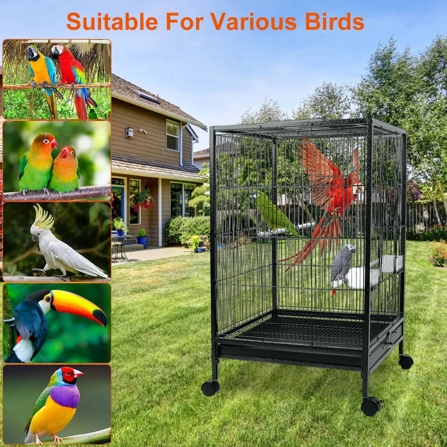 Bird Cage Parrot Aviary Perch Carrier