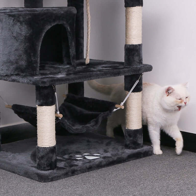 Kitten climbing tower