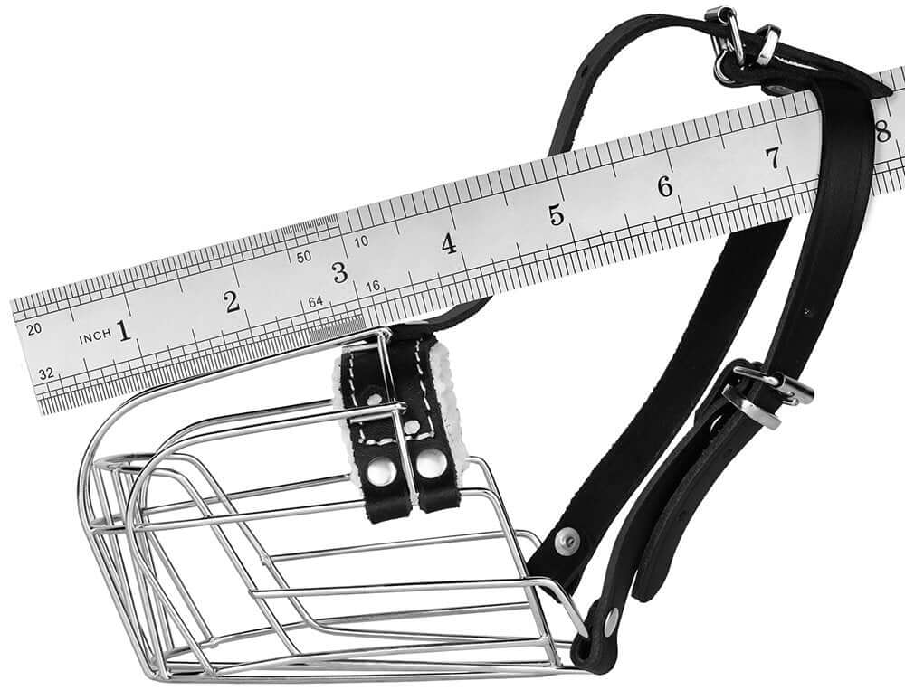 dog muzzle with leather straps