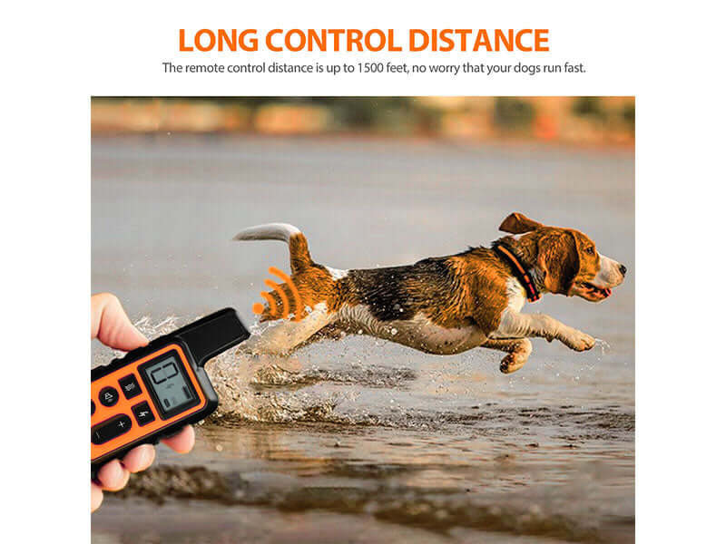 dog collar with USB charging