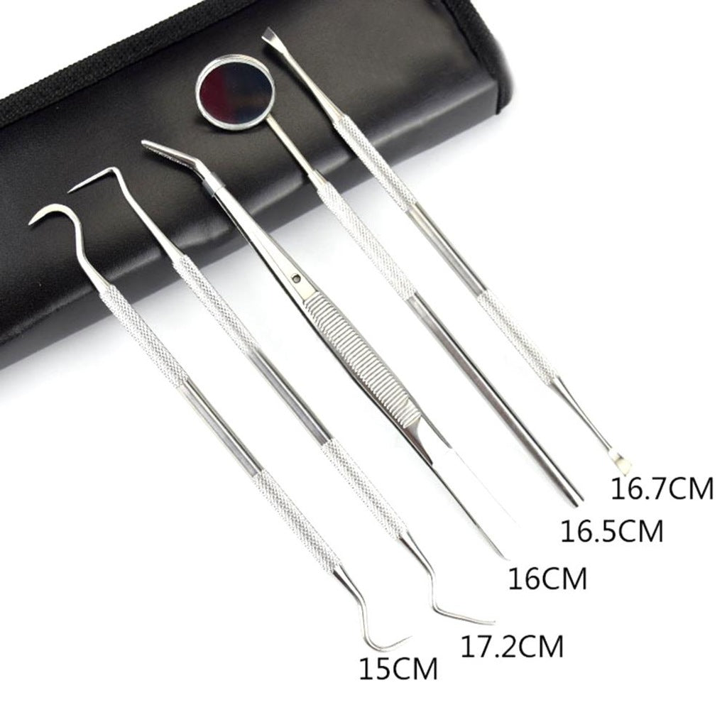 Essential Dental Hygiene Tool Kit 5pc