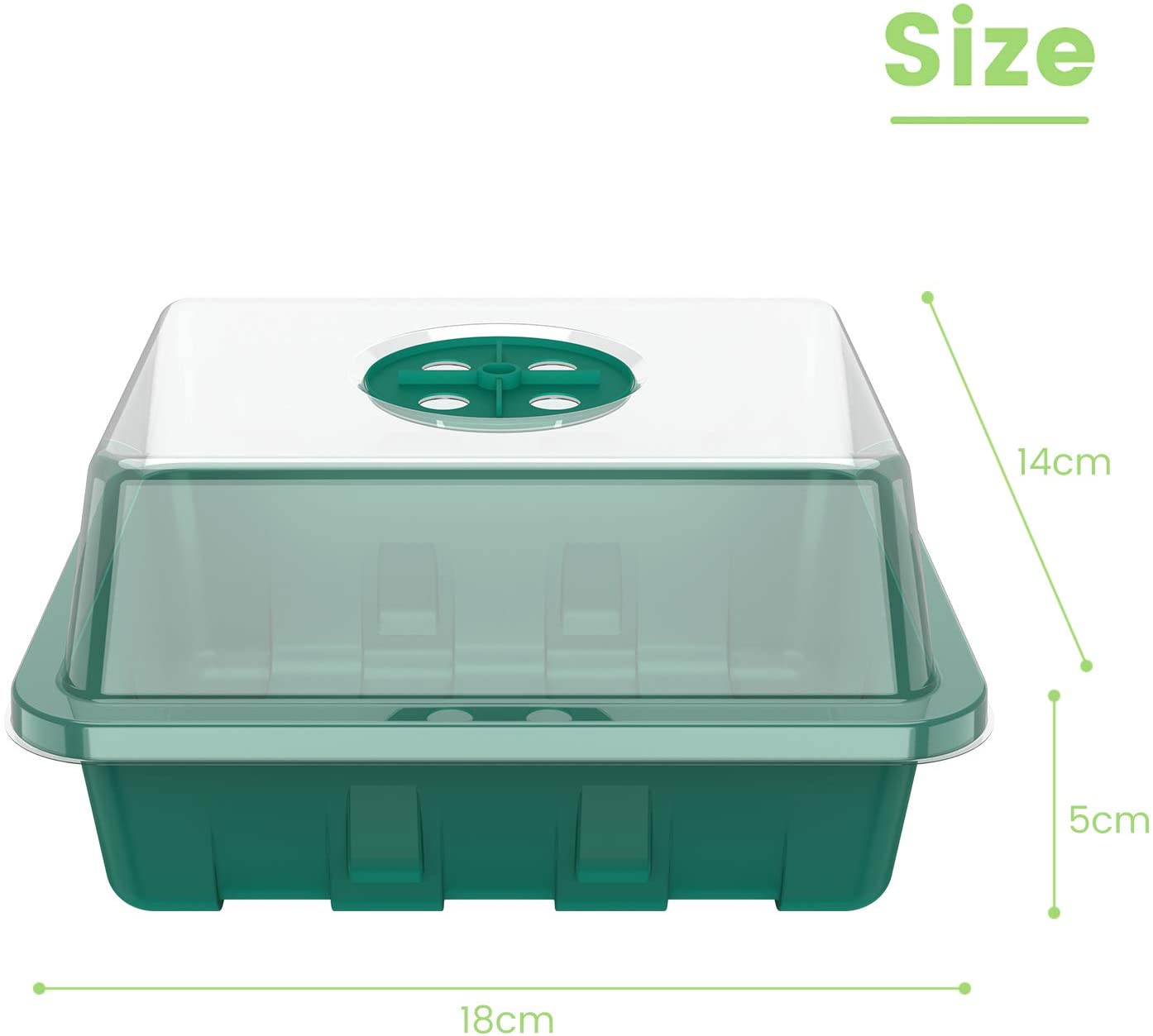 drainage holes in tray