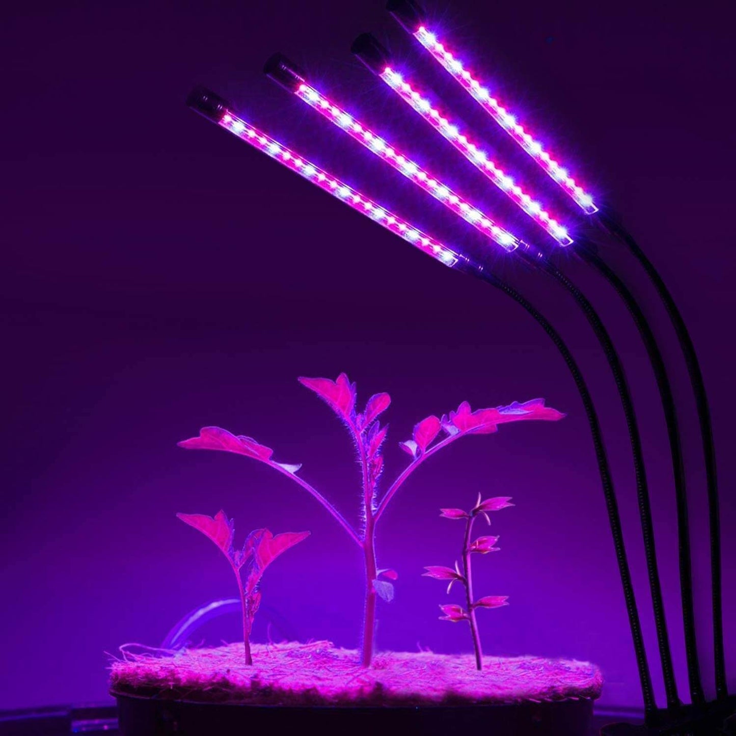 Four Head LED Plant Grow Light Indoor Lamp For Fruit Veg Flowers