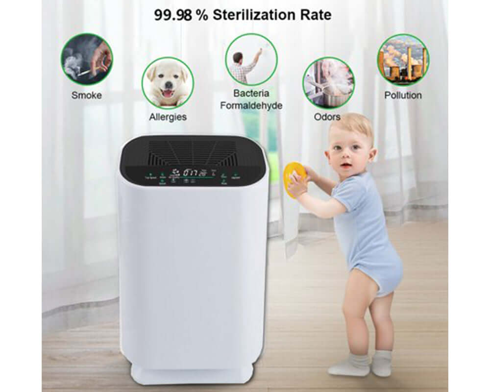 air purifier with timing function