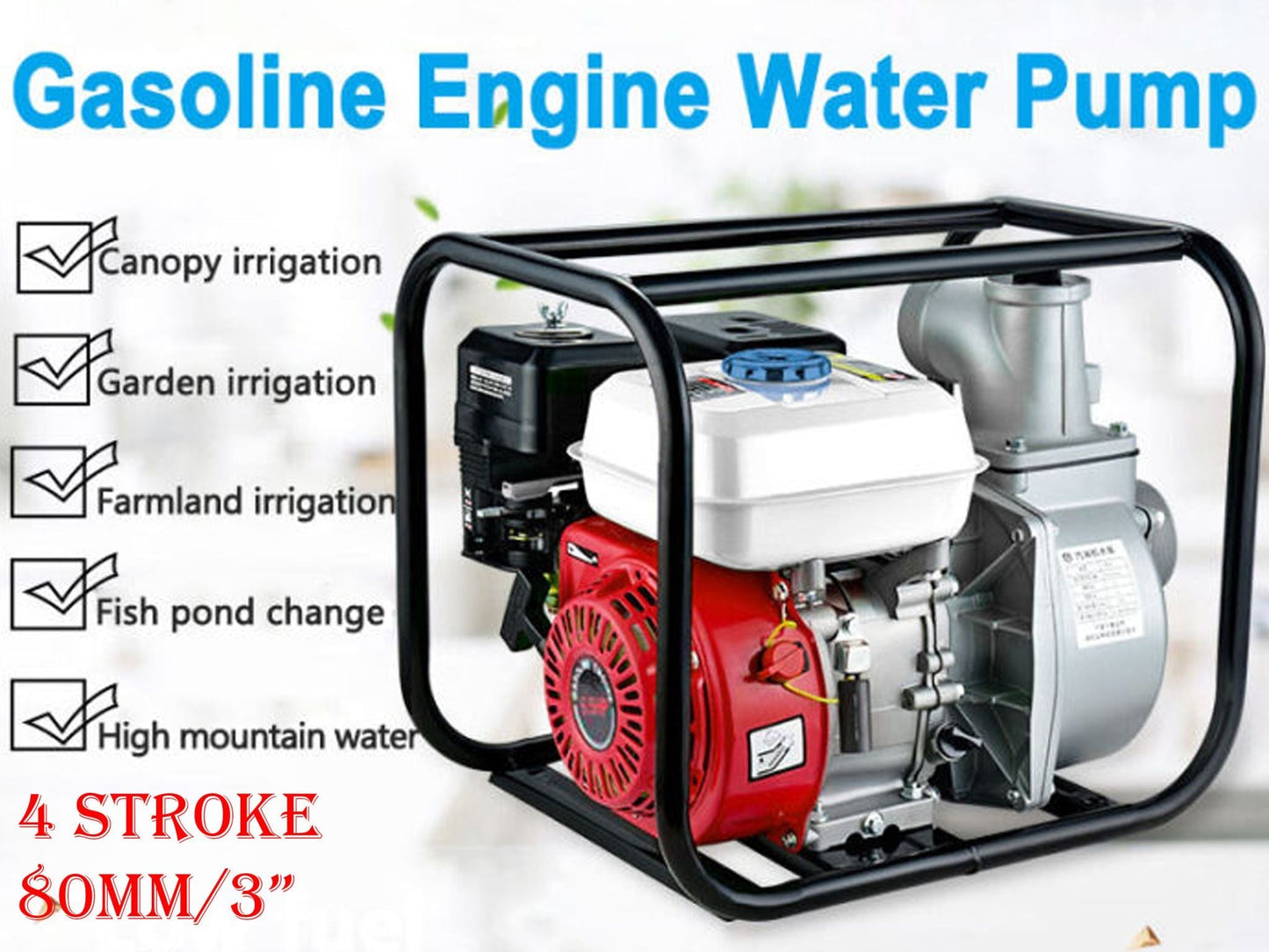 Portable gasoline pump