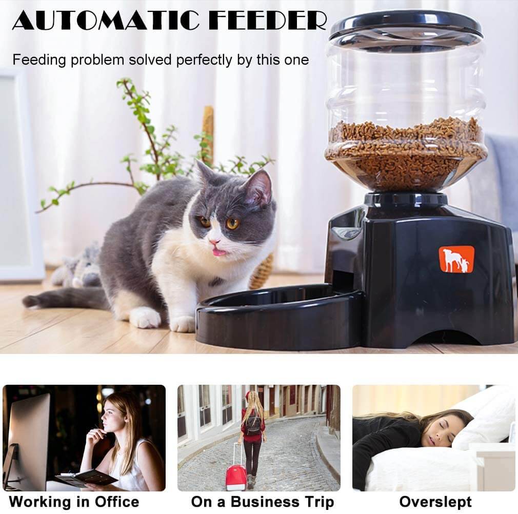 Black automatic pet feeder