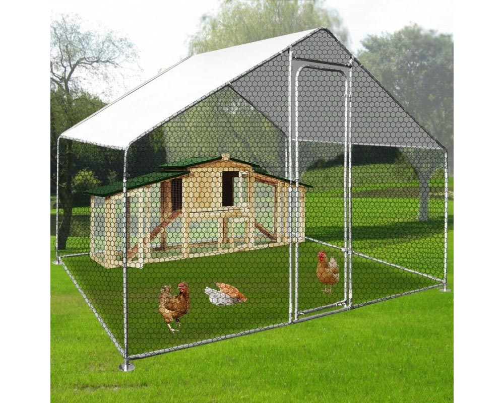 spacious chicken coop