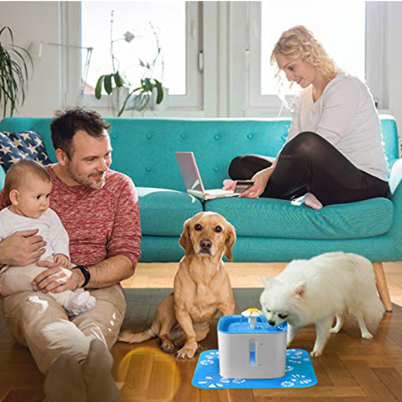 pet drinking fountain