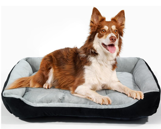 Soft cotton pet bed for medium dogs