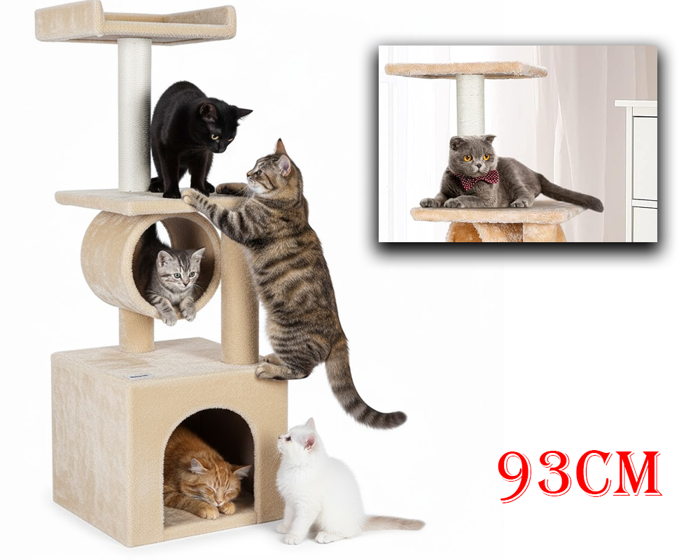 Cat climbing furniture