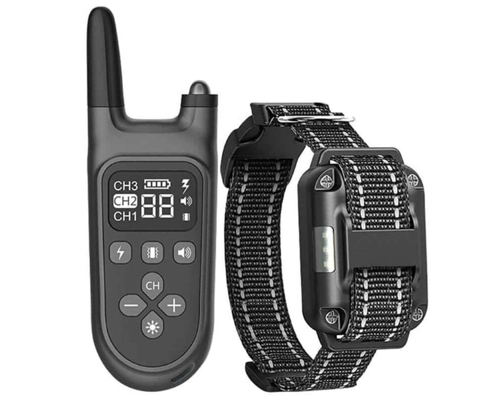 dog collar with remote