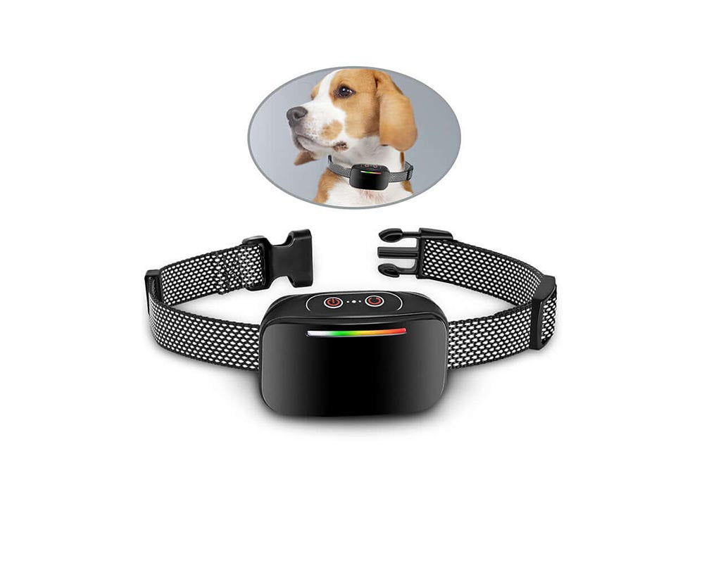 Dog collar with adjustable strap