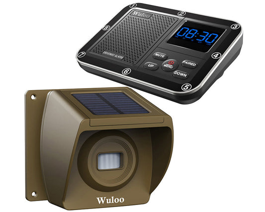 Wireless motion sensor alarm