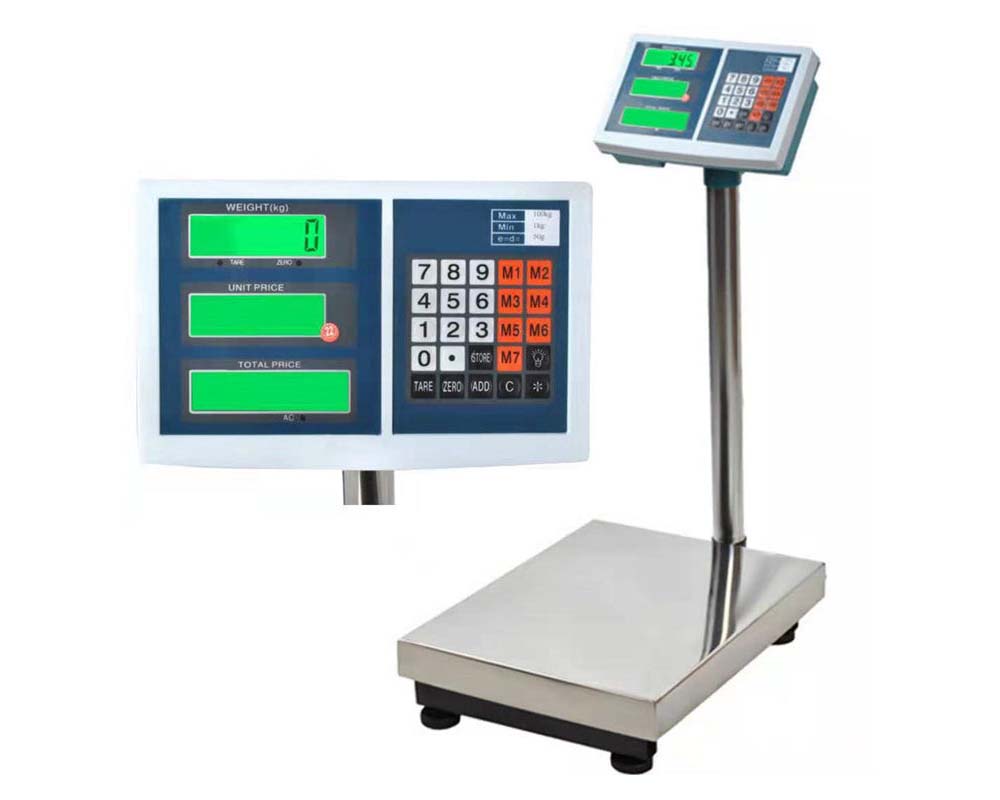 Portable digital platform scale