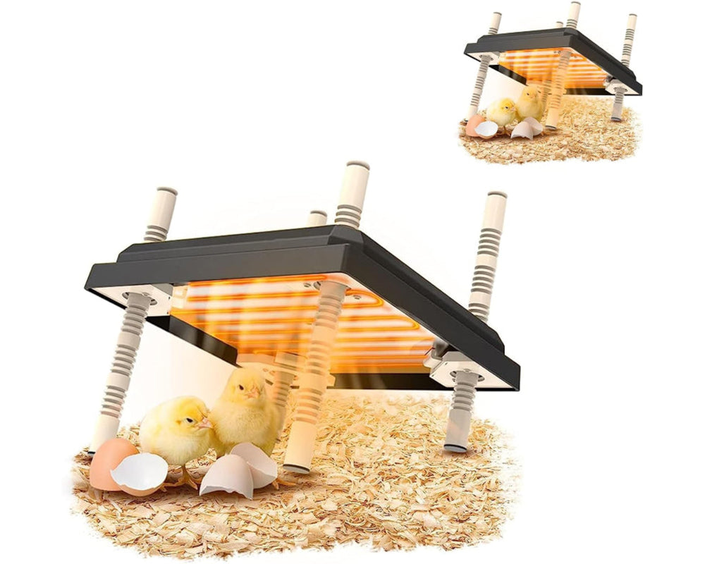 no light chick heater