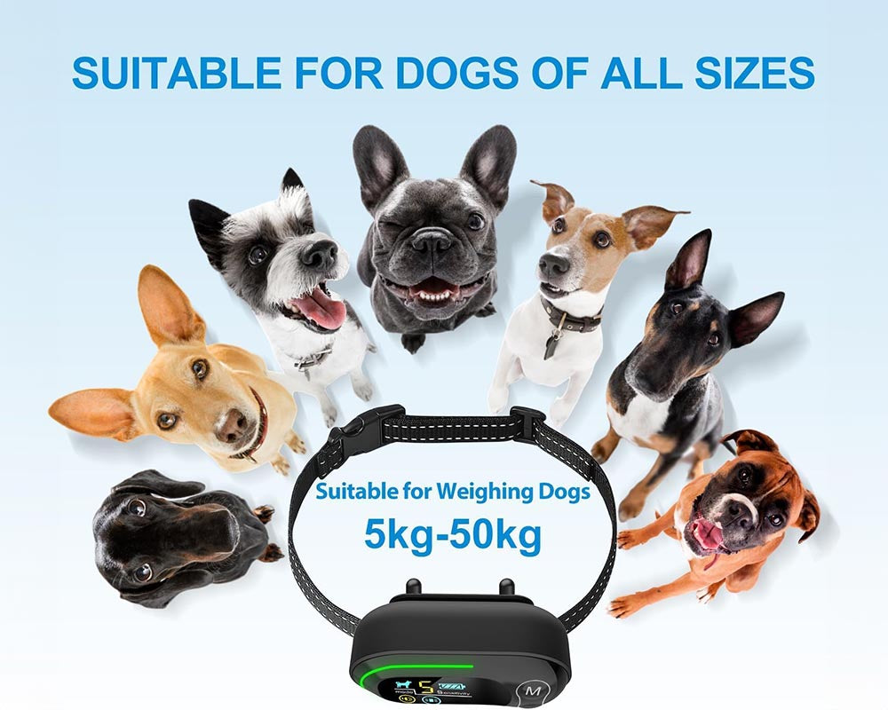 Dog collar with battery display