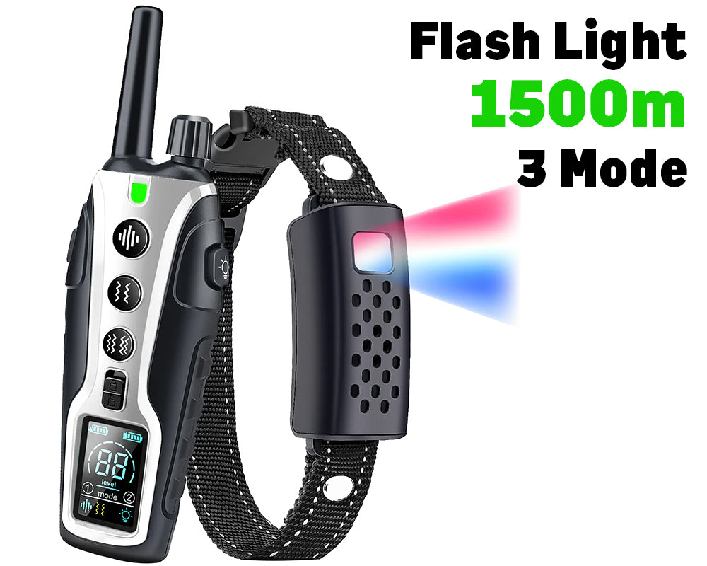 Dual channel dog training collar