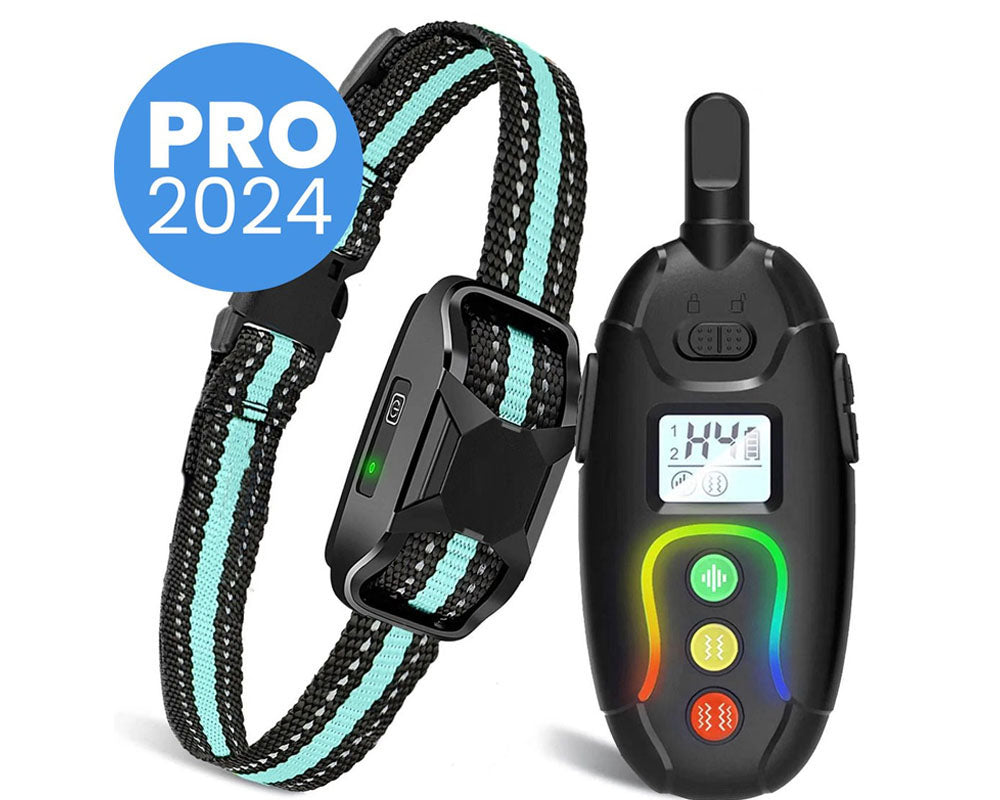 Dog collar for all sizes