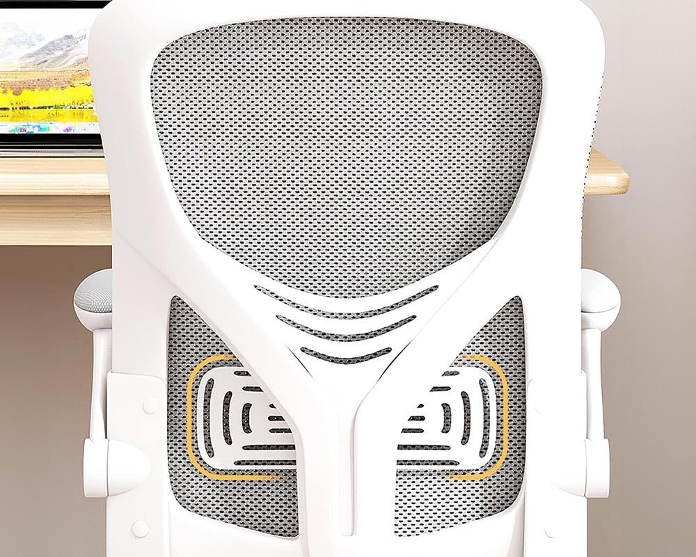 Office chair with mesh back