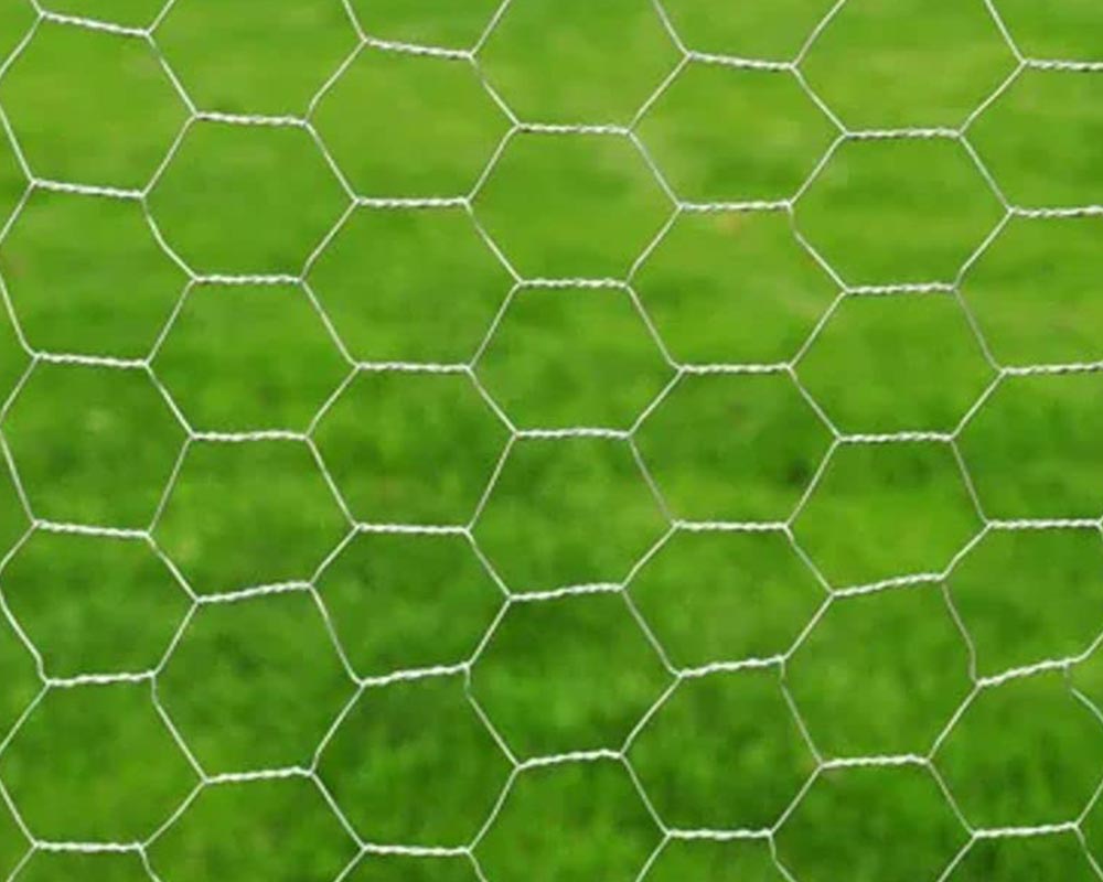 Wire Netting Mesh Galvanized Fence 45M