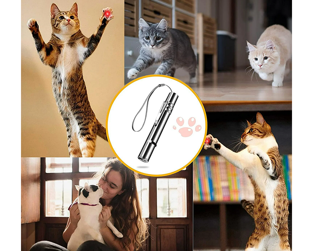 Laser pointer for pets