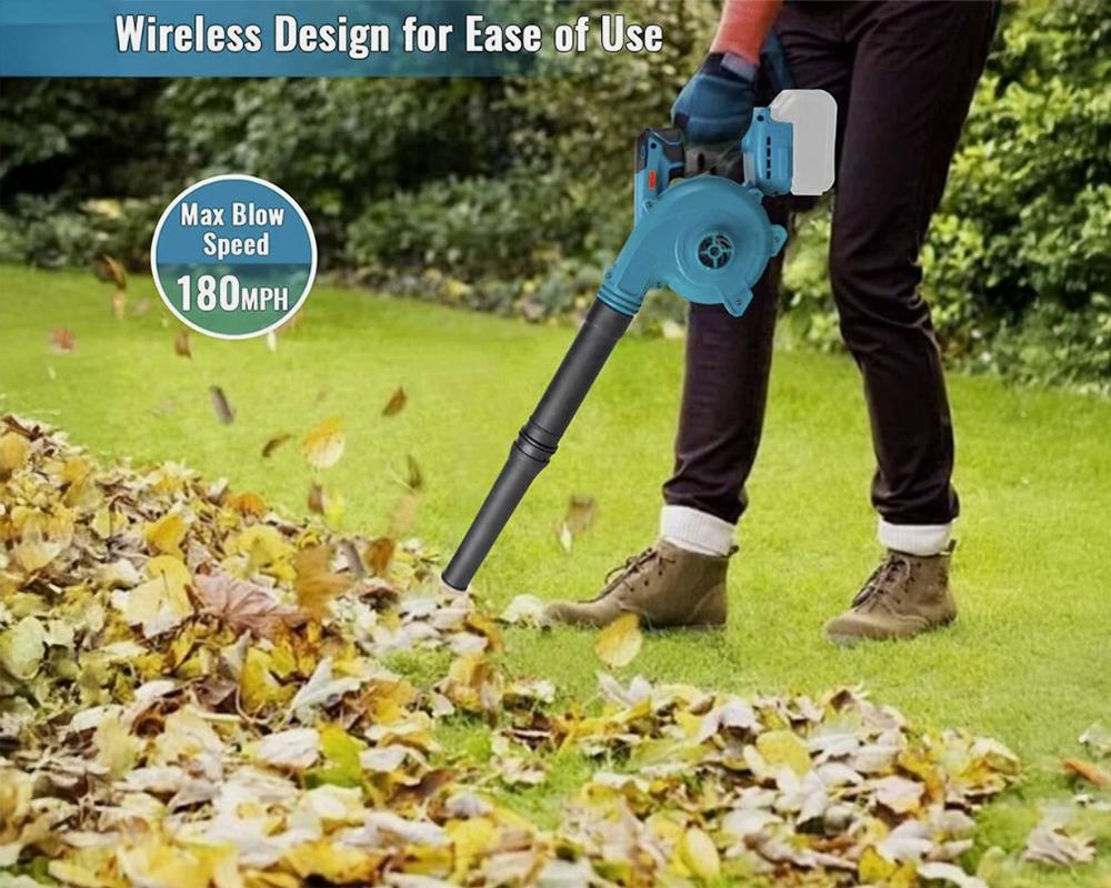 Leaf blower tool only