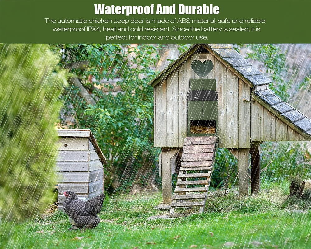 Chicken door with manual