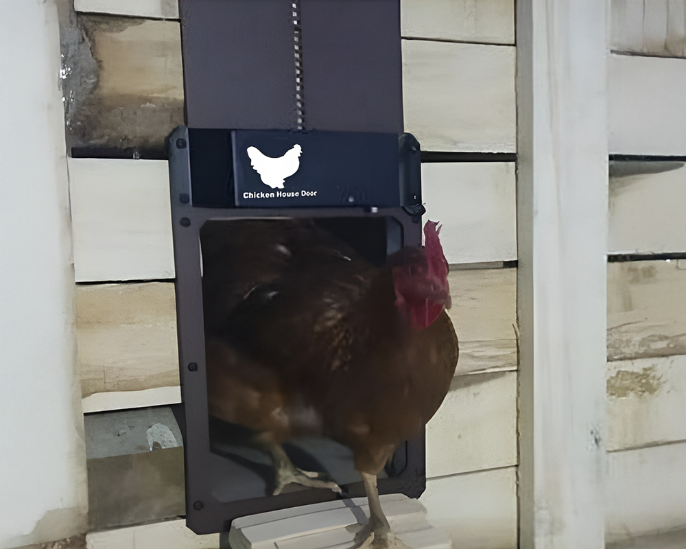 Durable chicken coop door