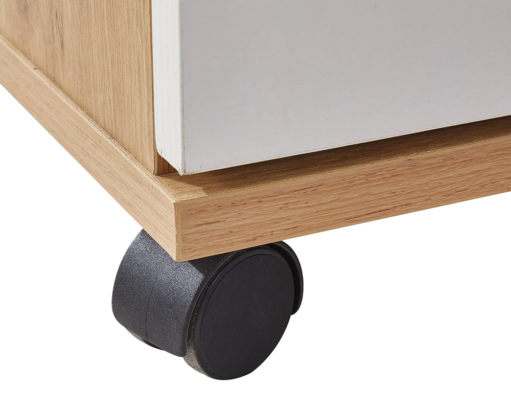 Office Filing Cabinet with Wheels File Organizer