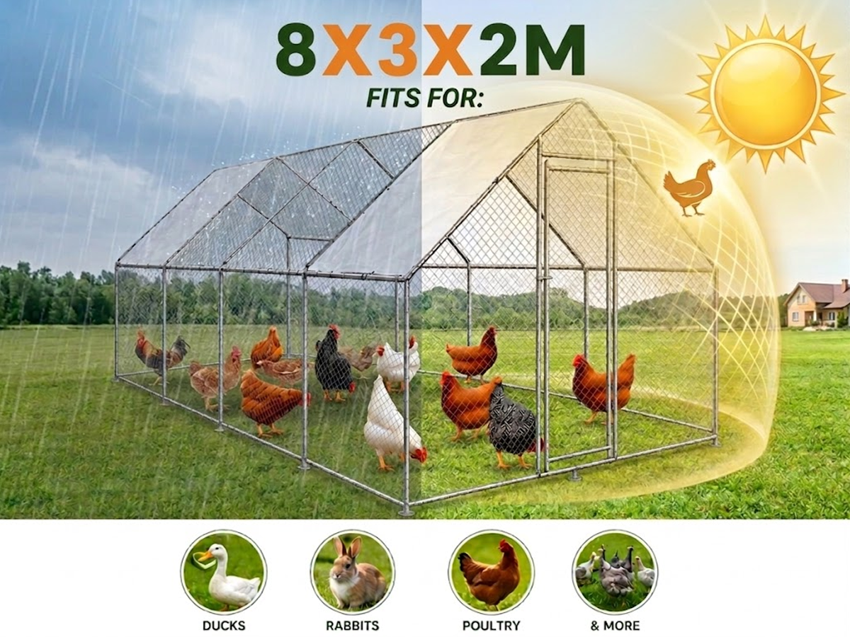 Outdoor Chicken Coop 8Mx3Mx2M