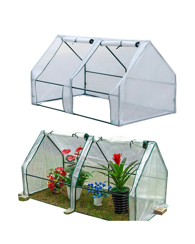 greenhouse with air circulation