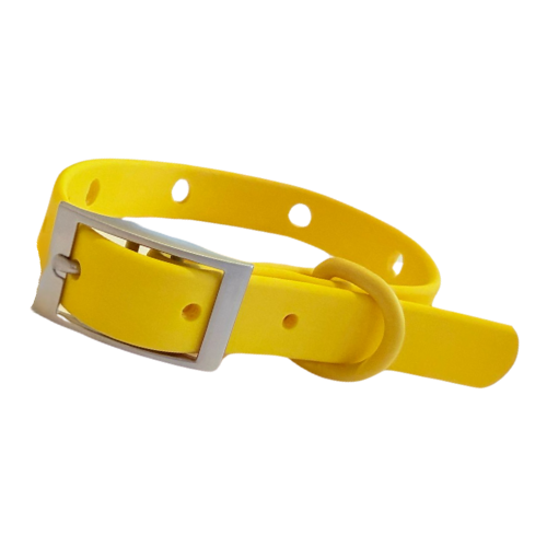 Dog Collar | Yellow