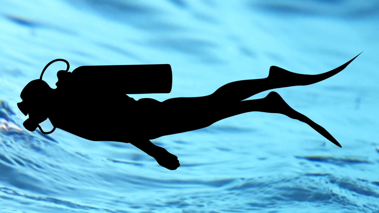 Dive Right Wrist Computer and Docking Station