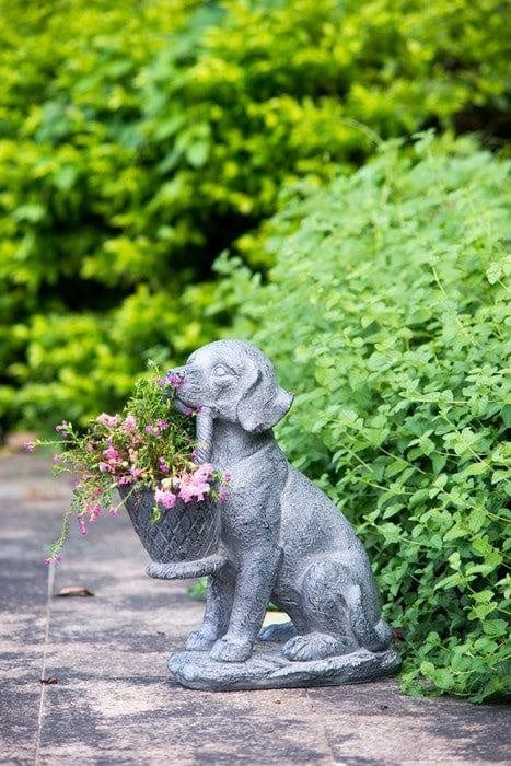 Dog Planter at online8 furniture store Auckland