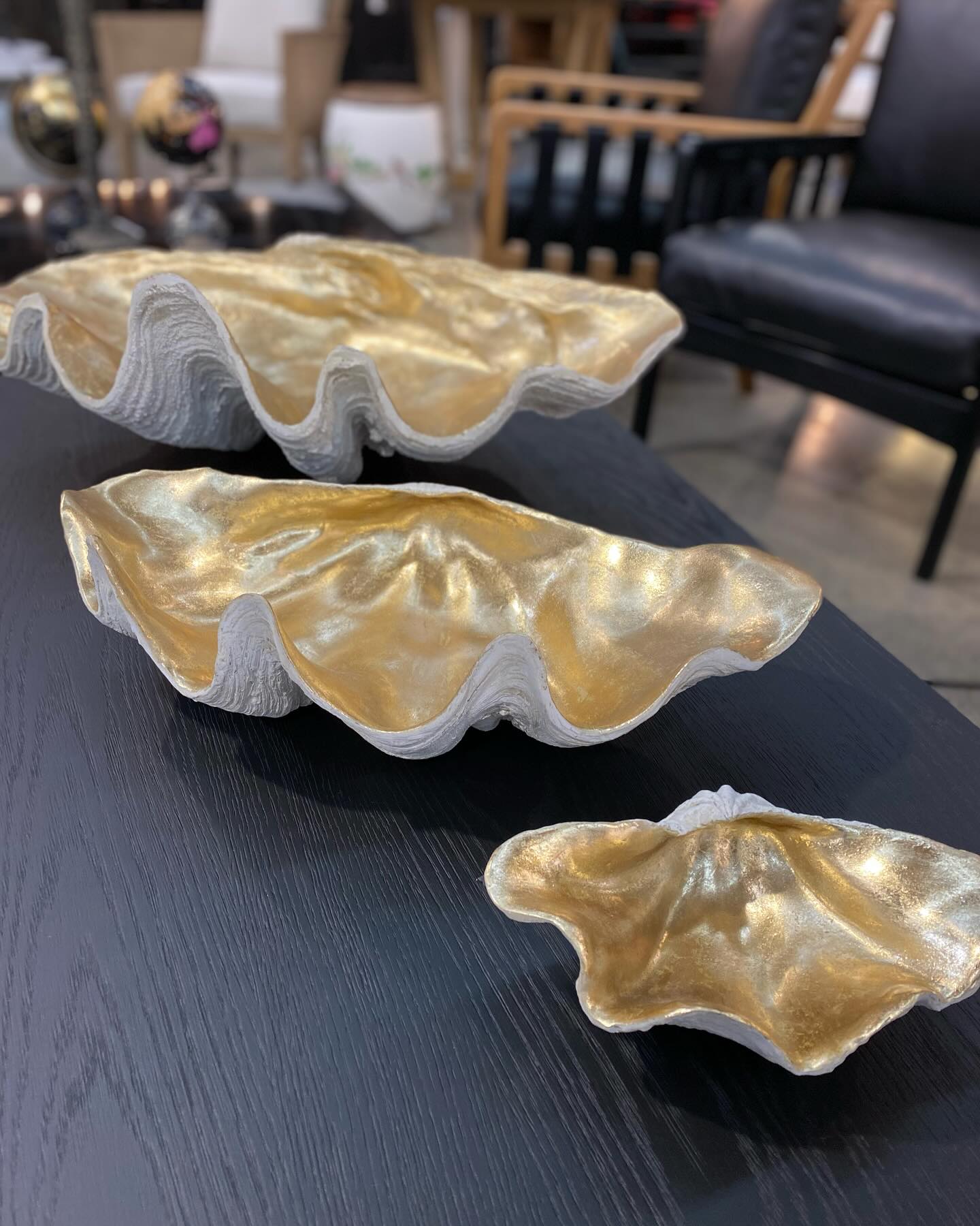 Resin Clam Shell Champagne Small at online8 furniture store Auckland