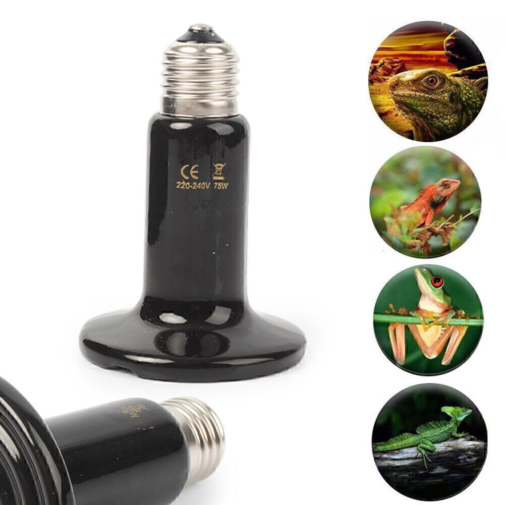 Reptile Light Ceramic Heat Lamp 100W