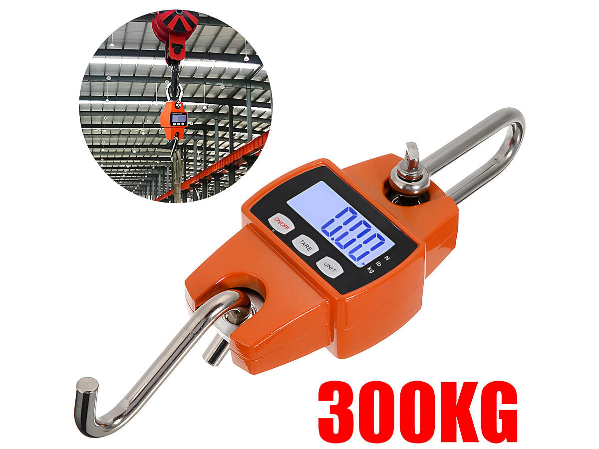 Crane Scale 300KG Heavy Duty Hanging Scale