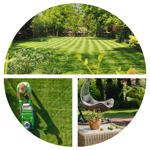Lawn & Garden