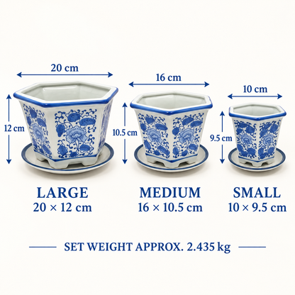 Set of 3 Blue & White Hexagonal Ceramic Planters with Saucers